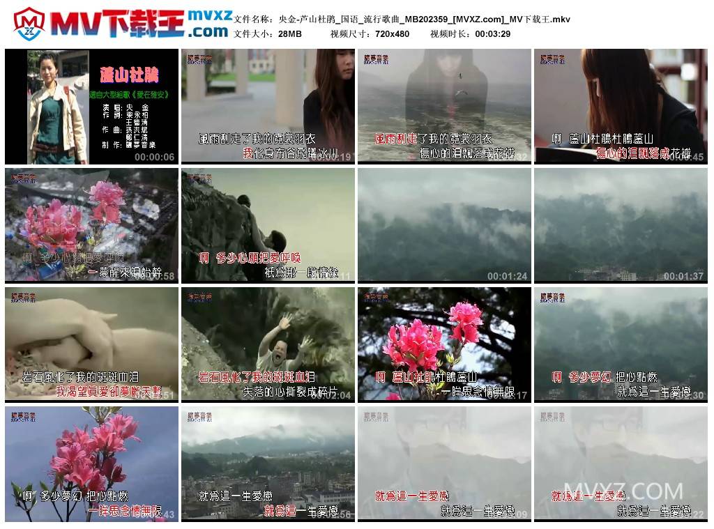 央金-芦山杜鹃_国语_流行歌曲_MB202359